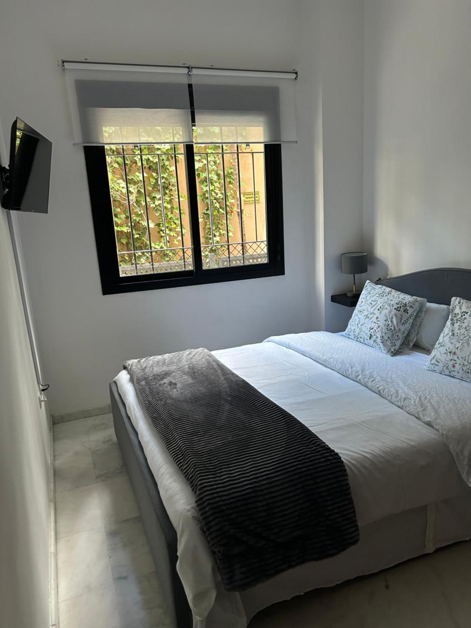Apartamento Proximo Al Centro De 2 Dormitorios Con Piscina. Севилья Экстерьер фото